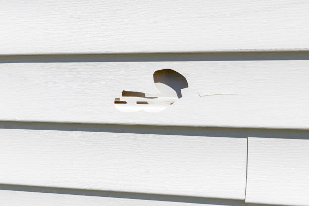 Best Insulated Siding Installation  in Medford, WI