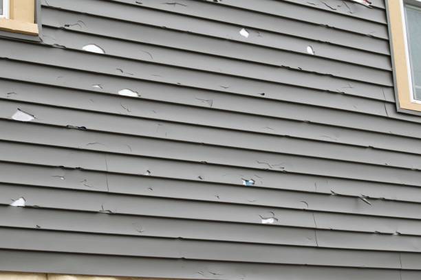 Custom Trim and Detailing for Siding in Medford, WI