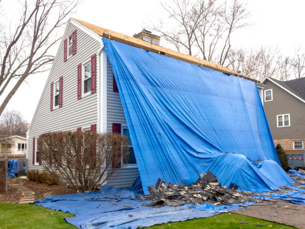 Best Historical Building Siding Restoration  in Medford, WI
