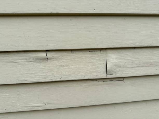 Affordable siding repair and maintenance services in Medford, WI